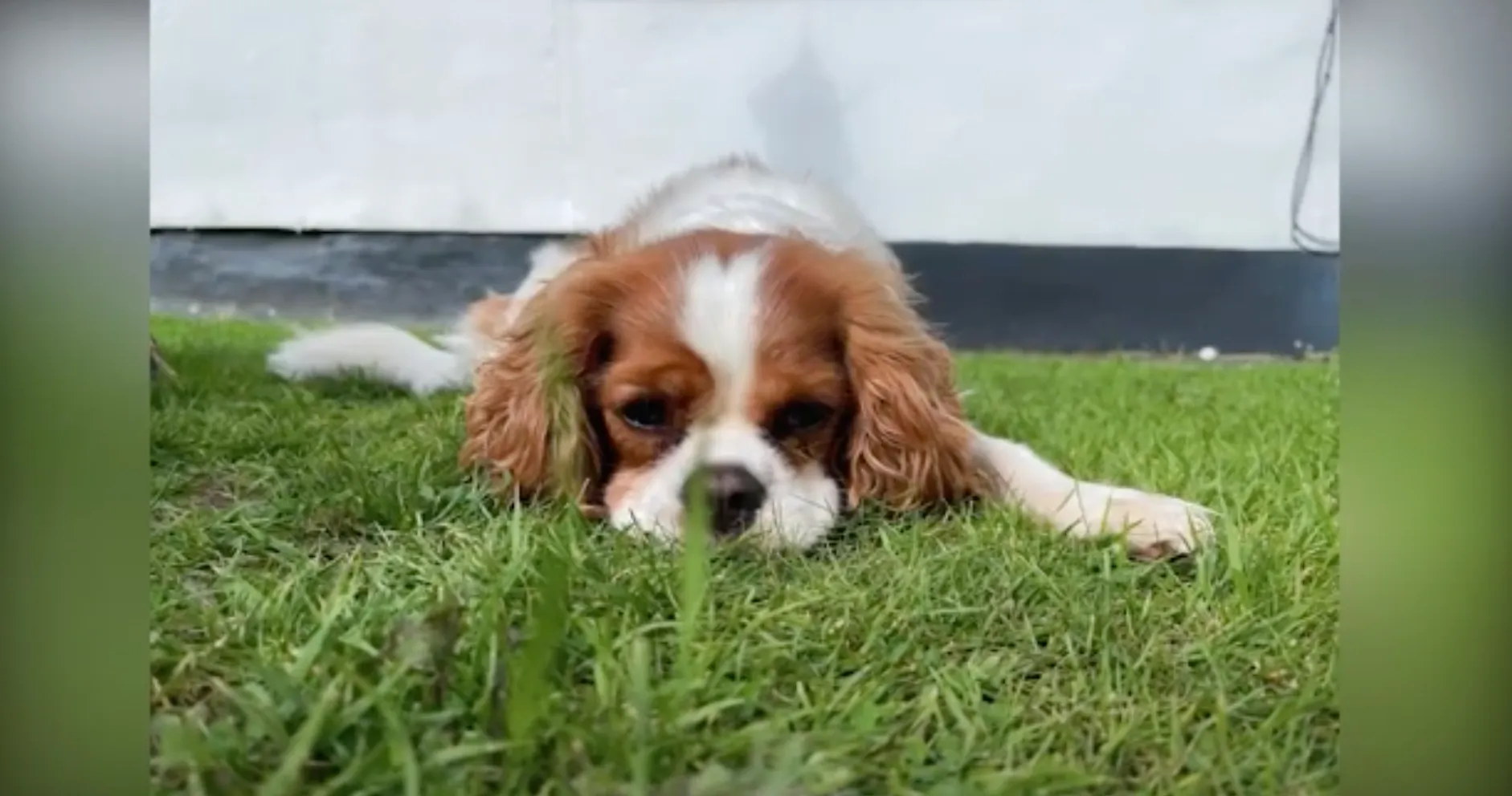 Cesar Gamio's 60-Second Reset